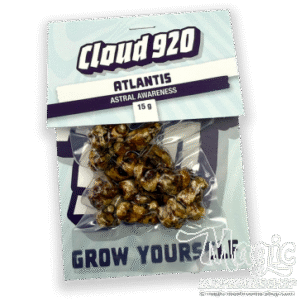 Magic Truffles Atlantis | Natural psilocybin Truffles