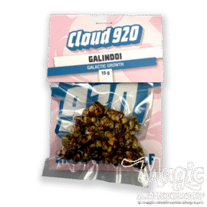 Magic Truffles Galindoi Mushrocks | Natural psilocybin Truffles