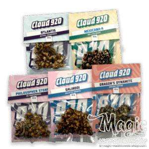 Magic Truffles Value pack